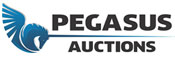 Pegasus Auctions AB Logo